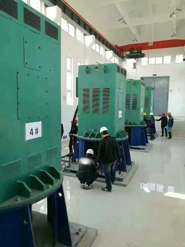 绥中某污水处理厂使用我厂的立式高压电机安装现场